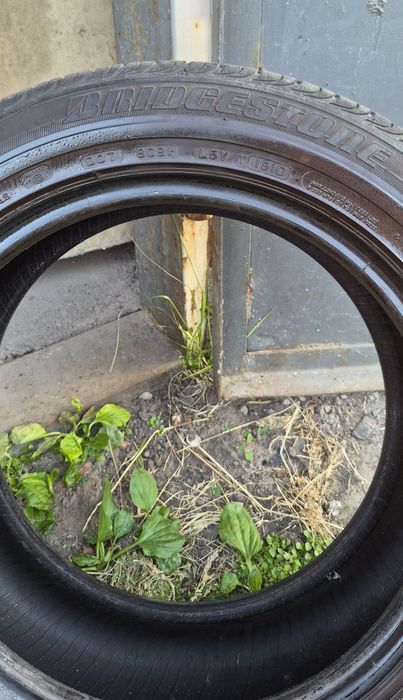 Продам шины Bridgestone Turanza