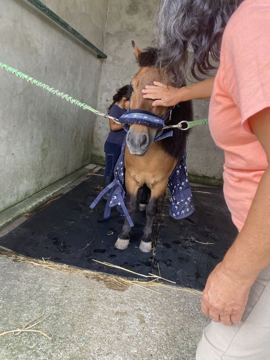 Batismos e passeios a cavalo