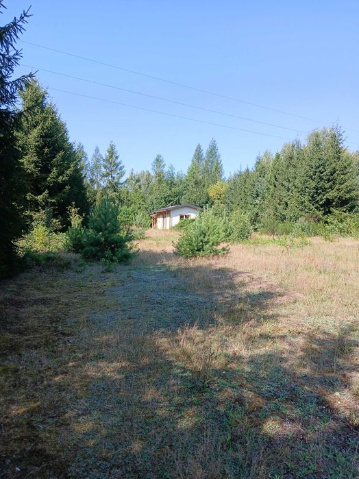 Mały domek na urlop pod lasem Nocleg