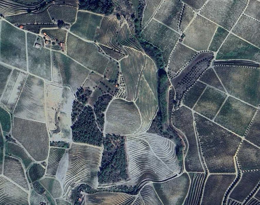 Terreno com vinha - Favaios / Douro