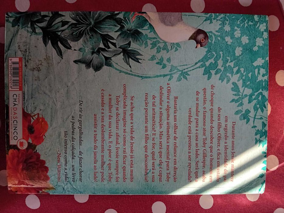 Amores Proibidos - Jill Mansell