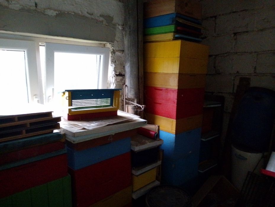 Ule, pszczoły,miód,pasieka,wosk,węza,pszczelarstwo,ramki,wielkopolskie