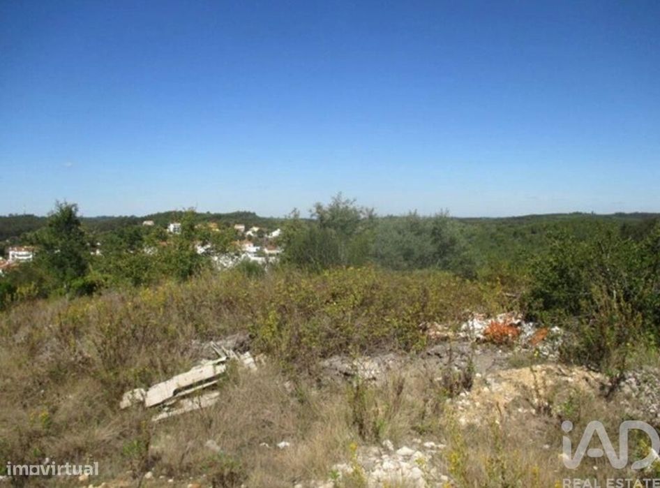 Terreno em Soure de 2954,00 m2