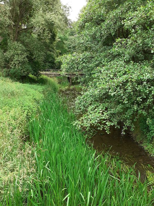 Mieszkanie – Krobielowice - Więcej