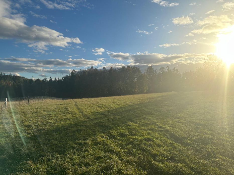 Dzialka budowlana Dębowina 4800 m lub 2400 m za 200zl/m - Widok 4
