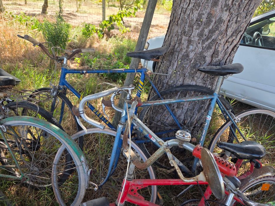 Conjunto de bicicletas