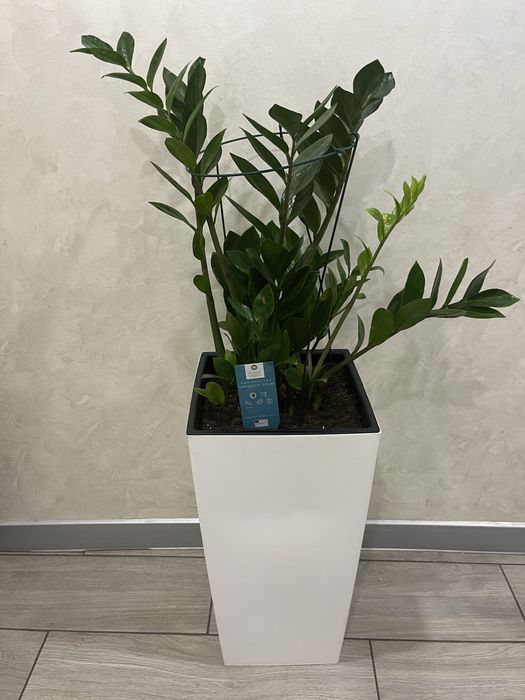 Горшок для вазону 2 штуки