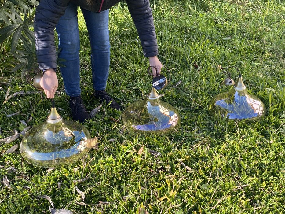 Três Candeeiros Novos