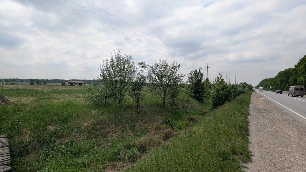Продаються 2 земельні ділянки загальною площею 50 сот Марківці (12)