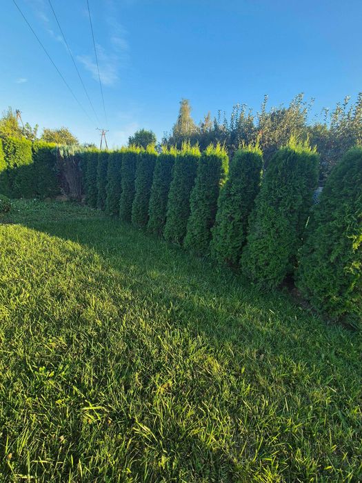 Działka ROD 400m2, Nysa ul. Mickiewicza