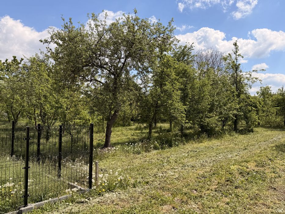 Działka budowlana / 0,12 ha / Annopol ul. Polna - Widok 2