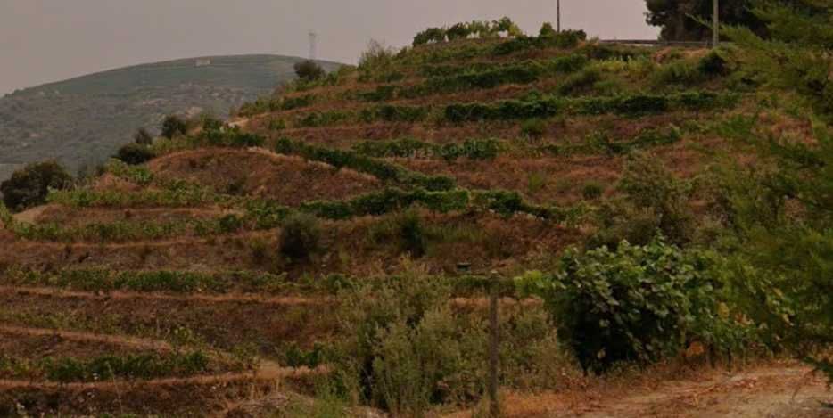 Vinha com 2,4 hectares de Benefício letra A - região DOURO