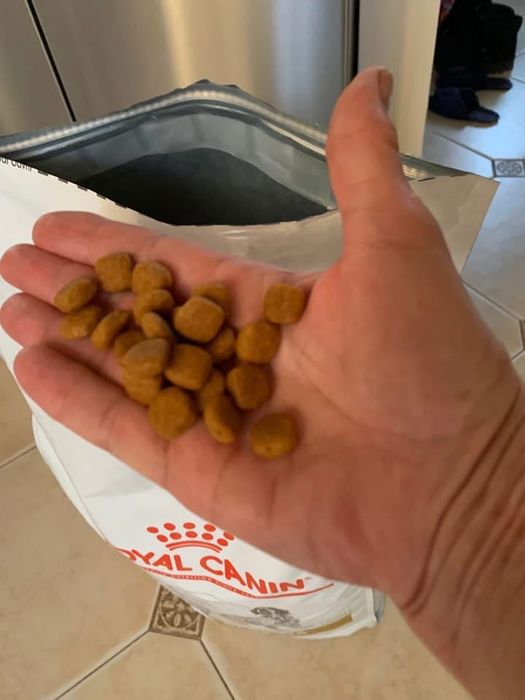 13 кг, Корм для собак ROYAL CANIN URINARY S/0