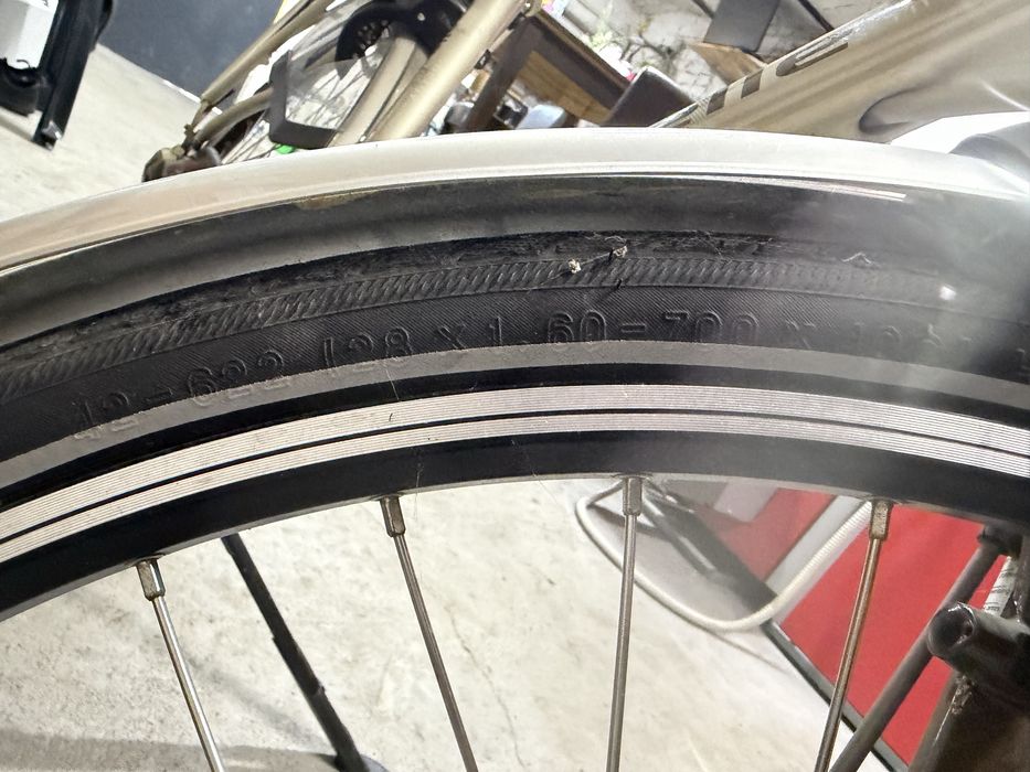 Rower gazelle elektryczny