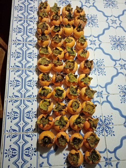 Diospiros Reservas até Dezembro