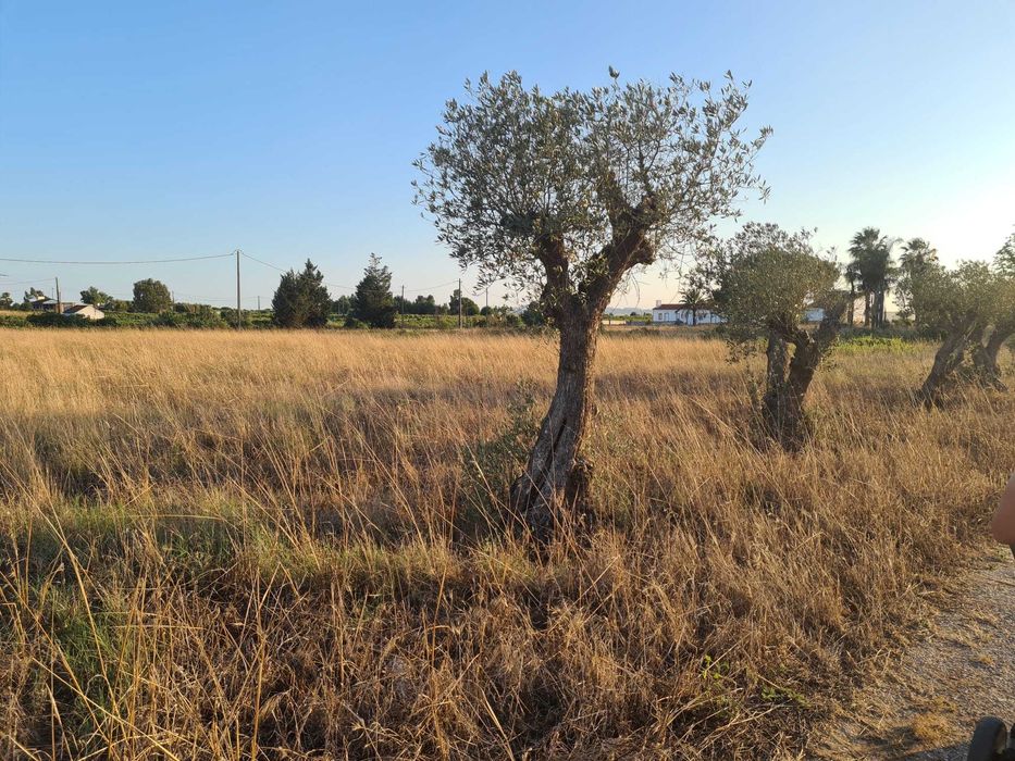 Terreno Rústico de 6000m2 Com Possibilidade de Construção