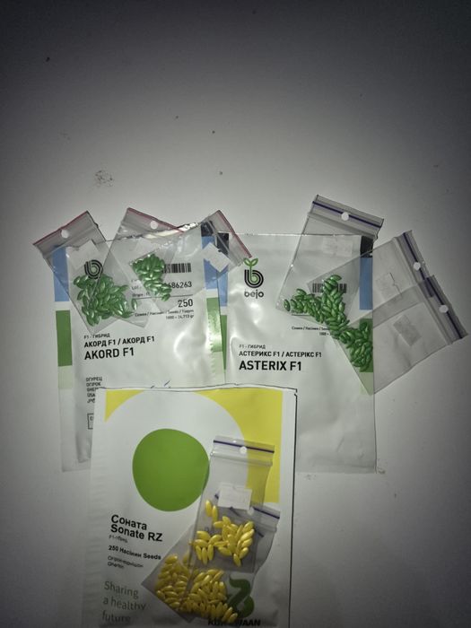 Насіння кормових буряків, червоних буряків, моркви