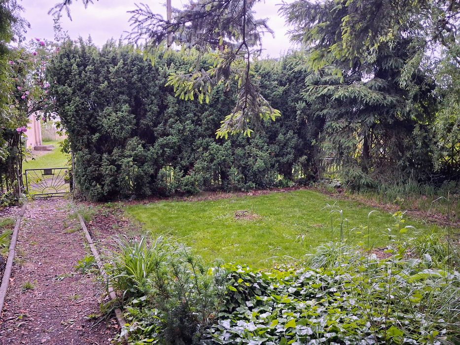 Działka ROD Kościan Relaks 230 m² | Altana murowana, prąd, woda, nawadnianie