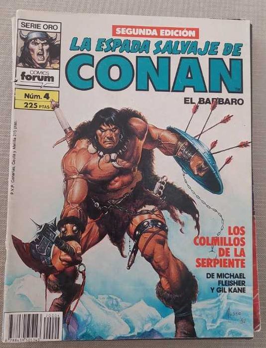 La Espada Salvaje De Conan