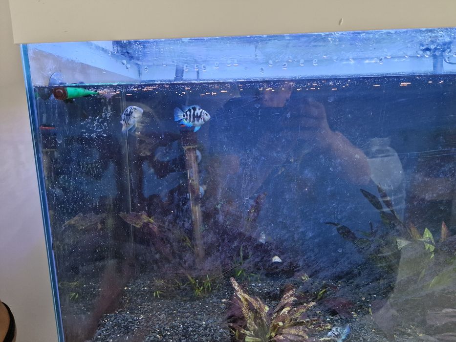 Aquario com móvel