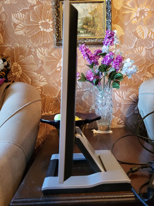 Монитор Samsung SyncMaster 172S