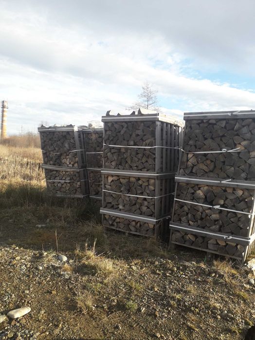 Дрова колоті букові