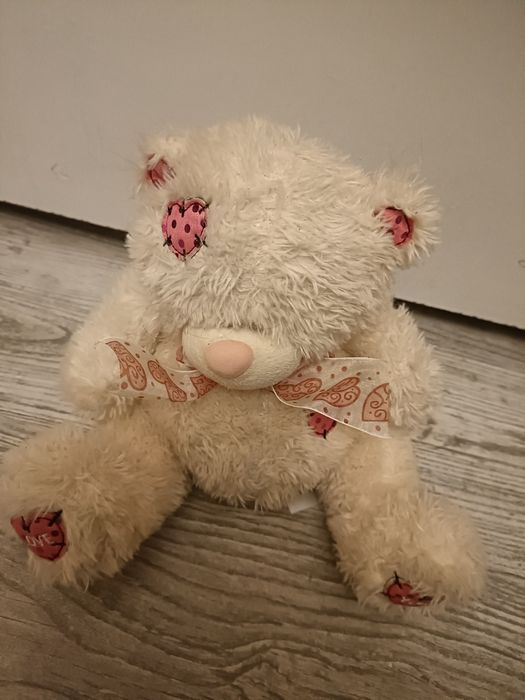 Urocza Przytulanka miś