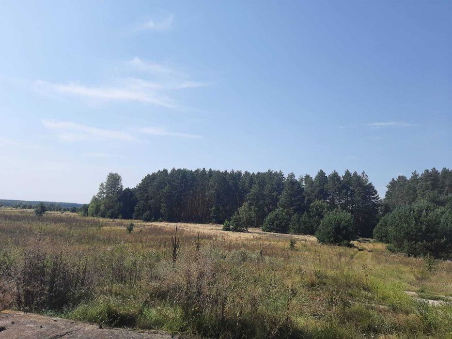 Димер, 24 га, ОСГ. Поруч ліс і  вода