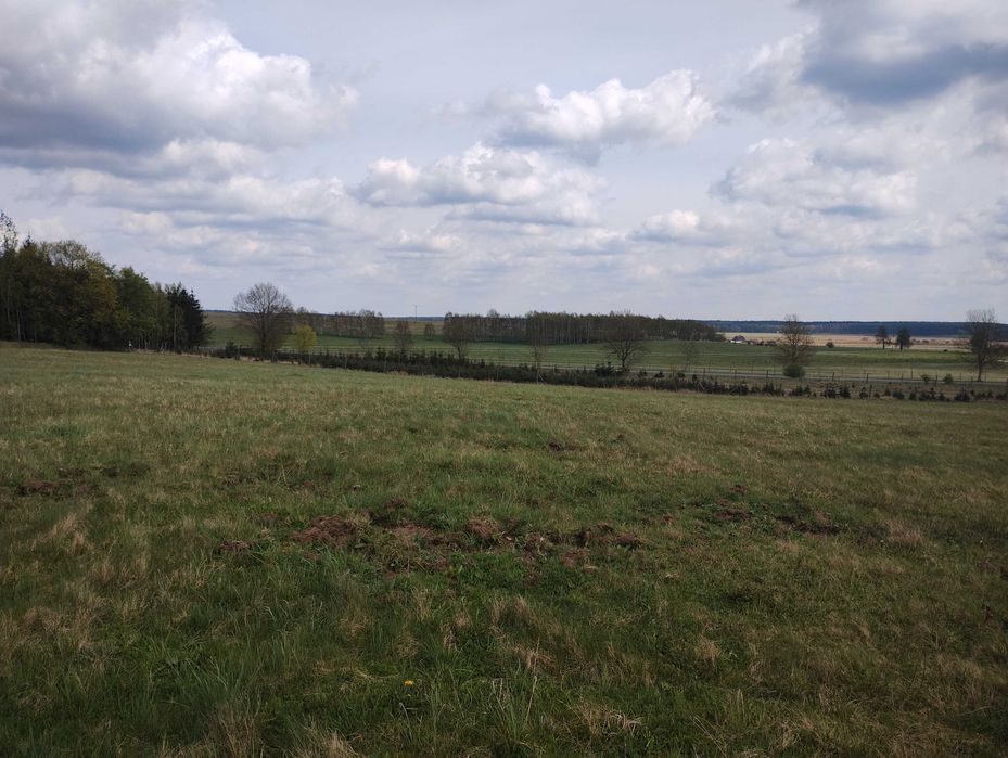 Atrakcyjnie położona działka 3.000 m2 koło Ińska