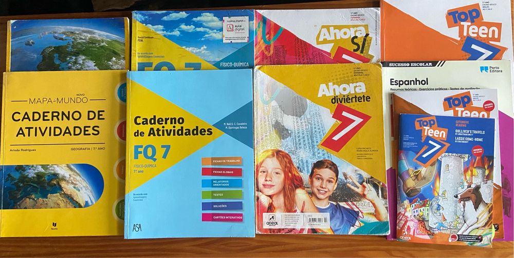 Manuais e Cadernos de atividades 7 ano