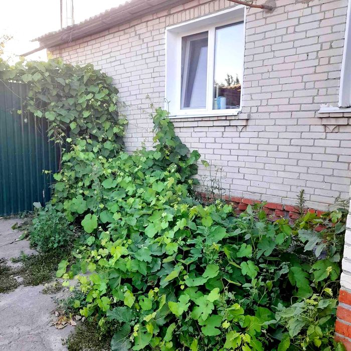 Продам будинок в передмісті м.Суми