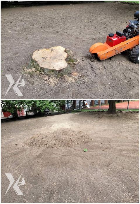 Usuwanie pni / frezowanie pni / karczowanie / frezarka Vermeer sc252