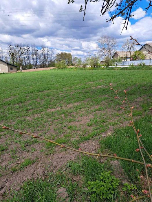 Продаж будинок с. Замістя (господарство)