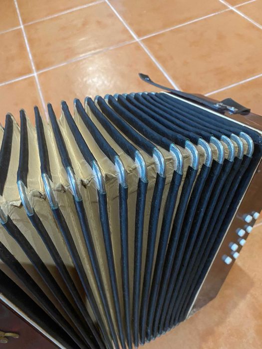 Concertina Finotti