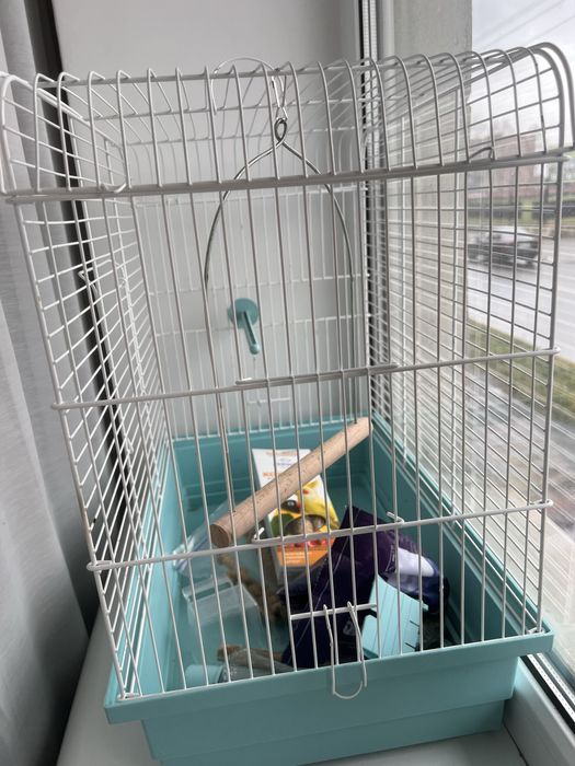 Клітка для папуги