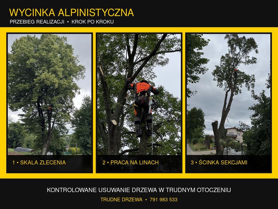 Wycinka drzew • frezowanie pni • karczowanie • cennik | Łódzkie