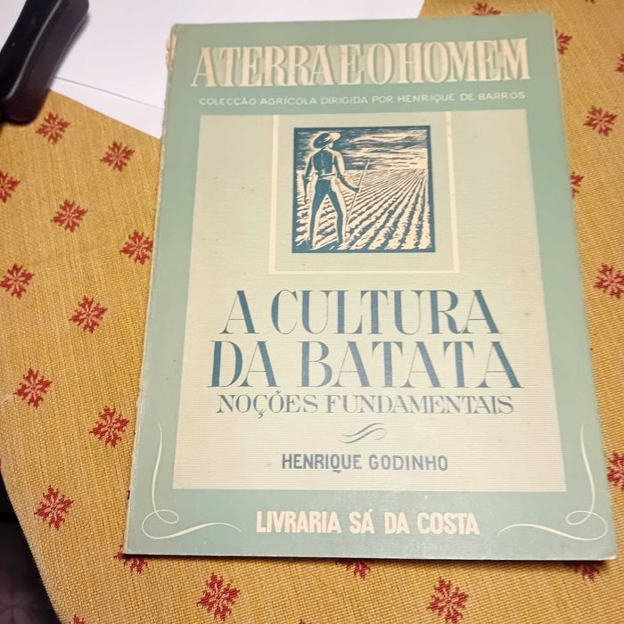 Henrique Godinho, A cultura da Batata