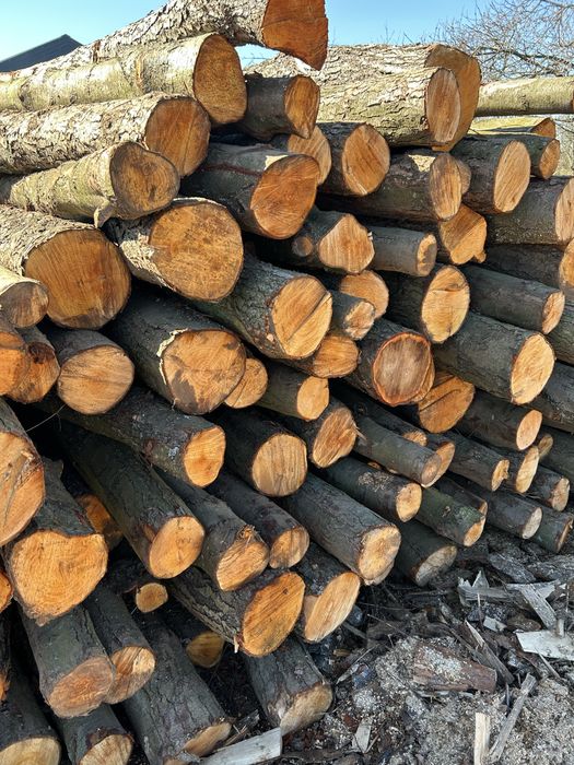 Drewno kominkowe, opalowe, sezonowane suche
