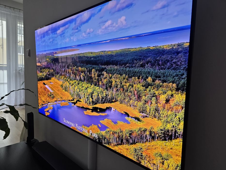Samueng 55 S90C OLED