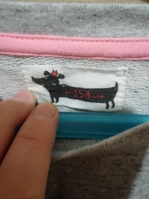 Bluzko bluza  szara z pieskiem