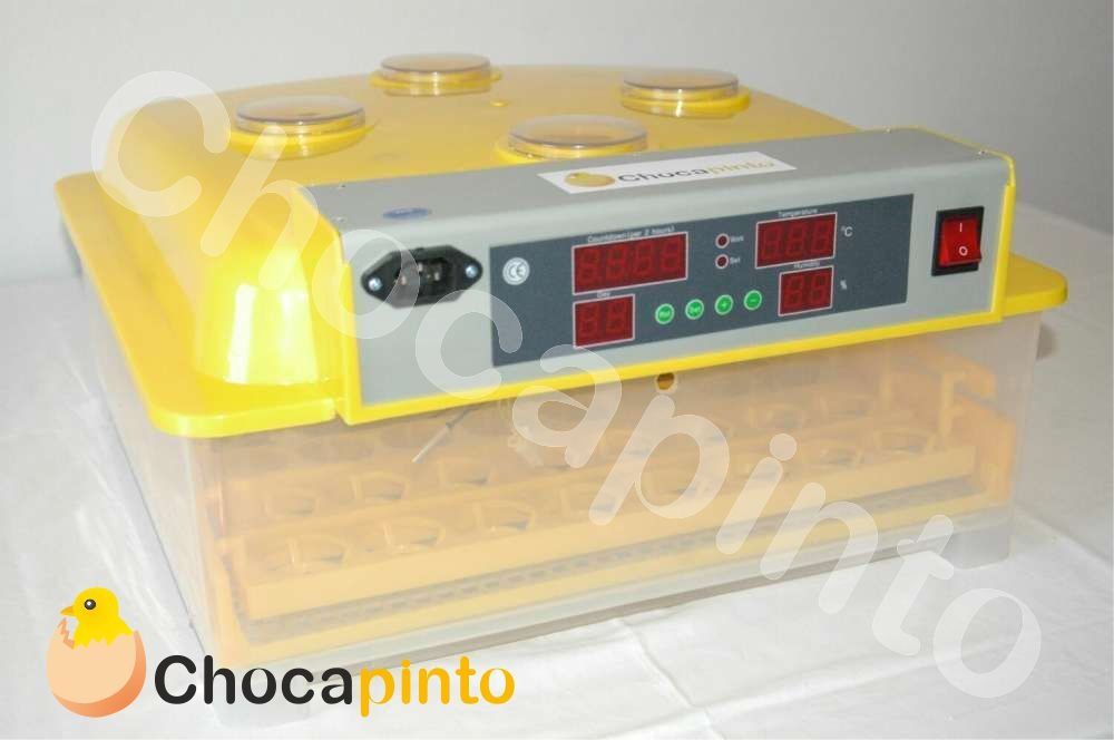 Chocadeira / incubadora de 36/144 Ovos + Criadeira