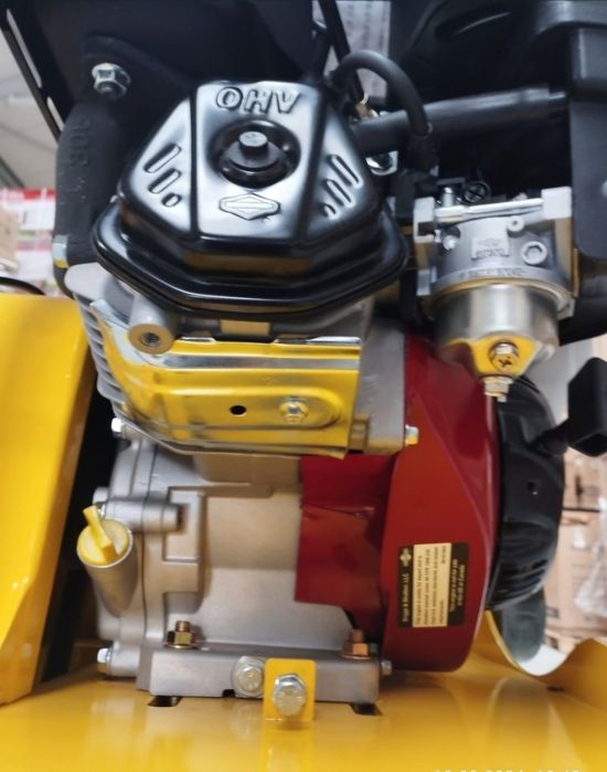 Zagęszczarka Briggs&Stratton 170kg W-wa