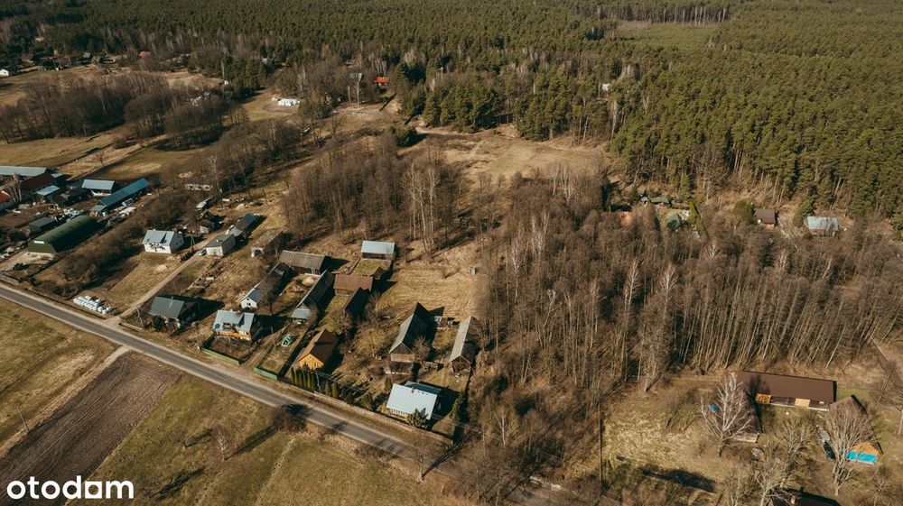Wyjątkowa działka 8900 m² z własnym lasem w Bojanach, gmina Brok - Widok 6