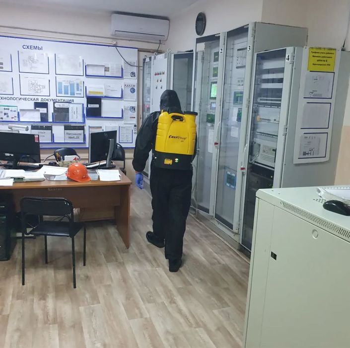 Травля блох клопов тараканов мышей крыс сколопендры. Удаление плесени