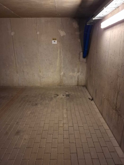 apartament Rewal