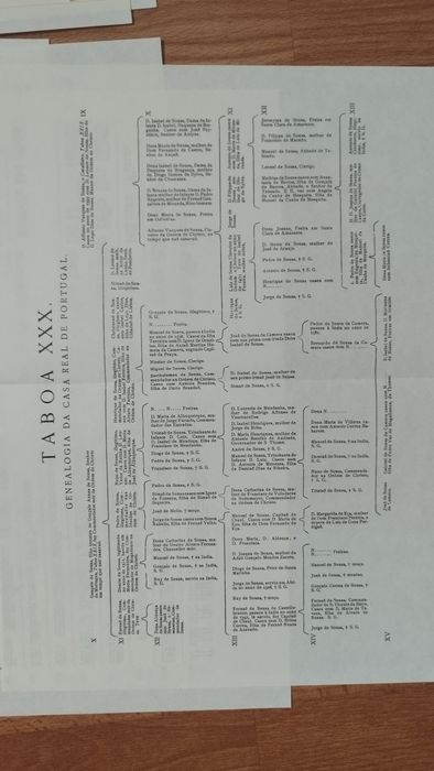 As 30 TABOAS da história genealógica da casa real portuguesa