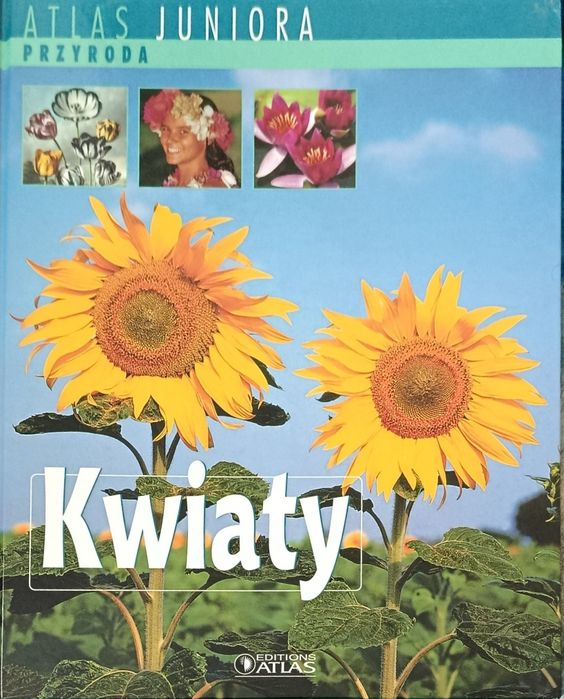 Książki dla dzieci i nie tylko
