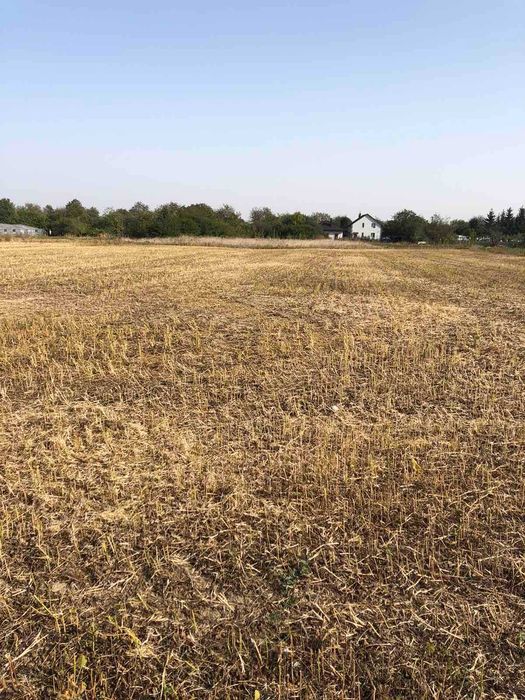 (3) Продам земельну ділянку в Писарівці 1736