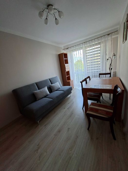 Mieszkanie 36 m² do wynajecia od zaraz - bardzo dobra lokalizacja - Widok 2