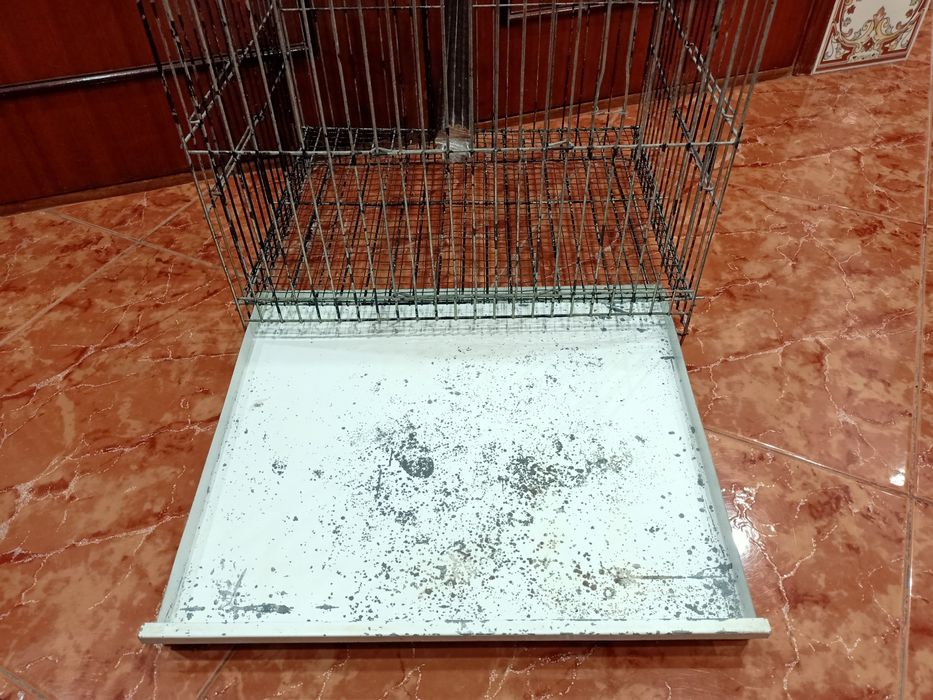 Gaiola galvanizada pássaros aves casa quarto apartamento vivenda